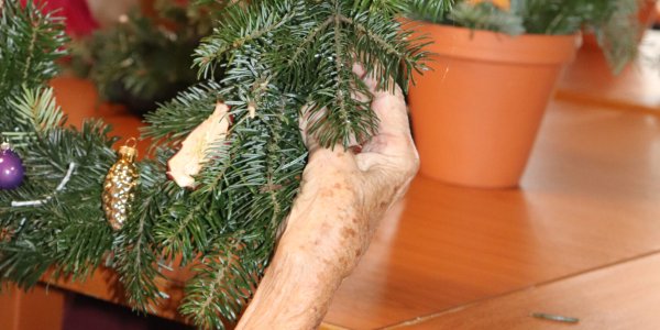 Berufliche Schule des Kreises Stormarn in Bad Oldesloe Berufliche Schule des Kreises Stormarn in Bad Oldesloe