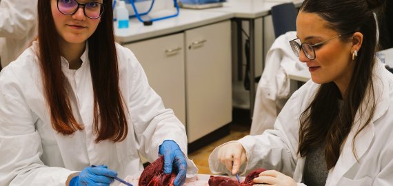 Bild zu Mitmachen, Staunen, Zukunft gestalten – MINT-Entdeckertage 2026