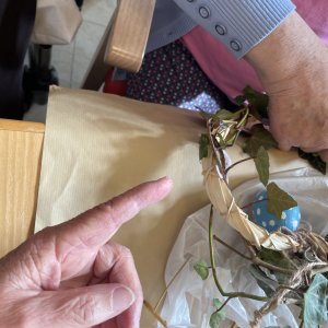  Berufsbildungszentrum Bad Oldesloe