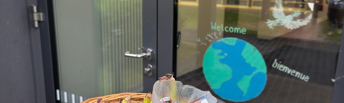 Gemeinsam für morgen: Aktionstag zu Nachhaltigkeit und Klimaschutz Berufsbildungszentrum Bad Oldesloe