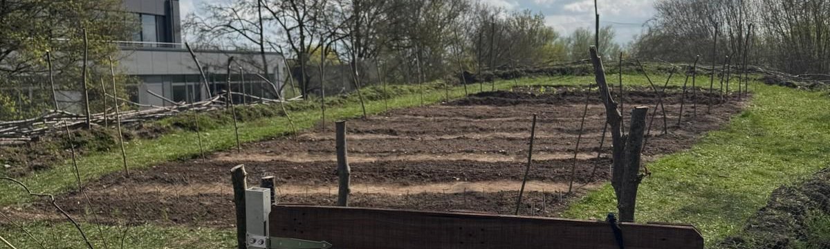 Von der Grasnarbe bis zur Ernte Berufsbildungszentrum Bad Oldesloe