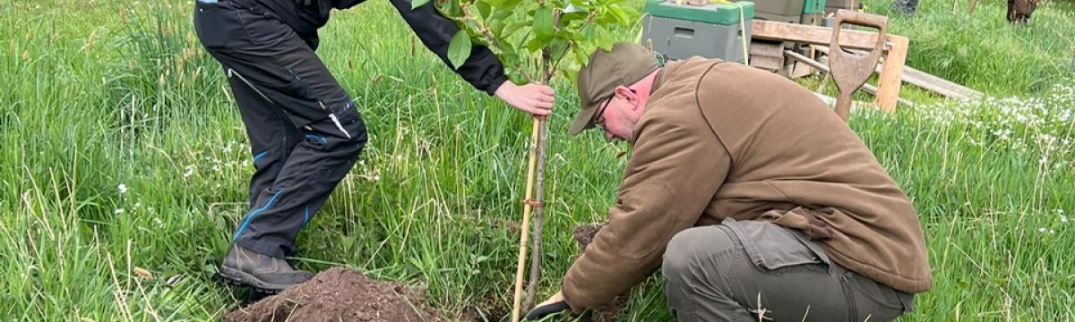 Klasse der Ausbildungsvorbereitung engagiert sich für die Zukunft und pflanzt Bäume Gemeinsam wachsen – für Natur, Gesellschaft und Beruf Berufliche Schule des Kreises Stormarn in Bad Oldesloe Klasse der Ausbildungsvorbereitung engagiert sich für die Zukunft und pflanzt Bäume Gemeinsam wachsen – für Natur, Gesellschaft und Beruf Berufliche Schule des Kreises Stormarn in Bad Oldesloe